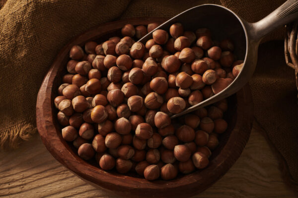 Nocciole in guscio NUOVO RACCOLTO 2024